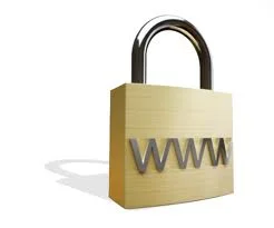 Εικονίδιo λουκέτου με το αναγνωρισμένο www