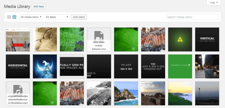 Οθόνη επιλογής video και εικόνων στη βιβλιοθήκη media του WordPress CMS